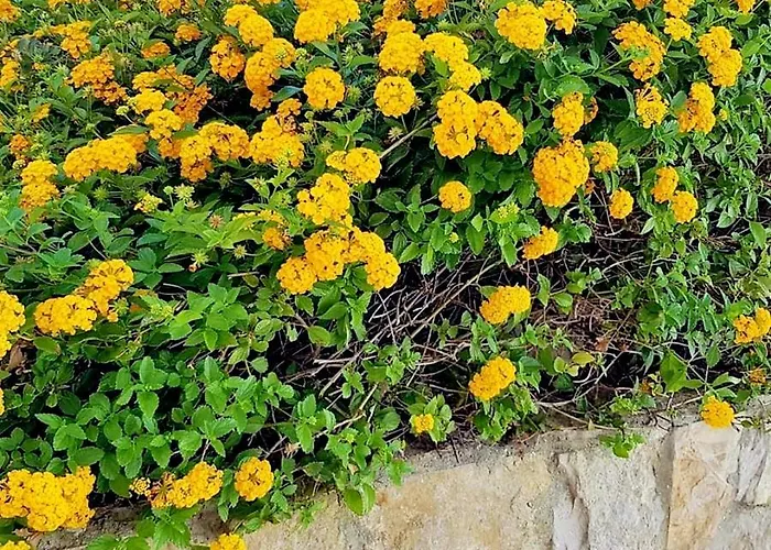 Albufeira4us Appartement